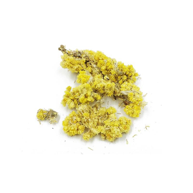 Slamienka (Helichrysum arenarium), sušený kvet, 25 g