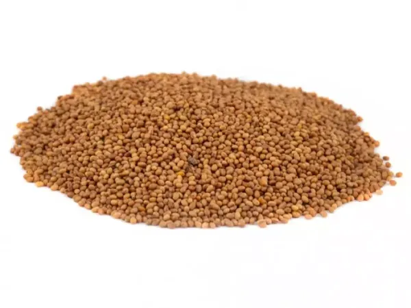 Ďatelinové semená na naklíčenie - BIO, 50 g /100 g /200 g /500 g