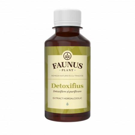 Detoxifius tinktúra, detoxikačná, na obnovu kože 200ml