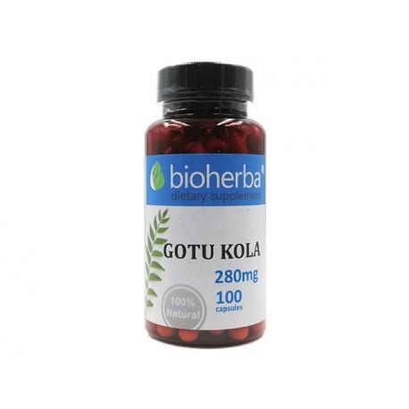 Gotu Kola, podpora obehového systému, 100 kapsúl