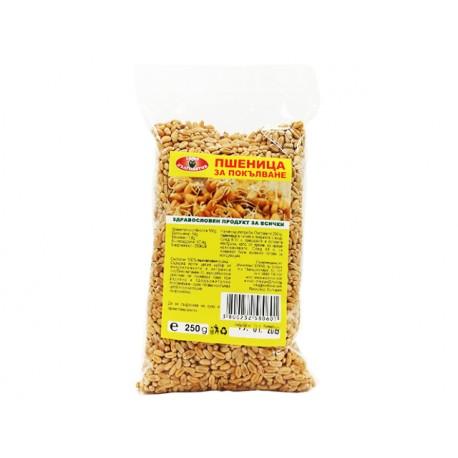Pšenica, na výrobu pšeničných klíčkov, 250 g