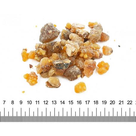 Boswellia (indické kadidlo), 100 g 1