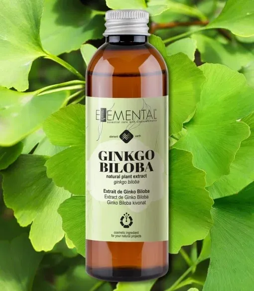 Extrakt z Ginkgo biloba 100 g