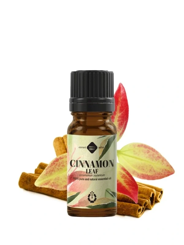 Škoricový esenciálny olej | Cinnamomum zeylanicum - listy 1