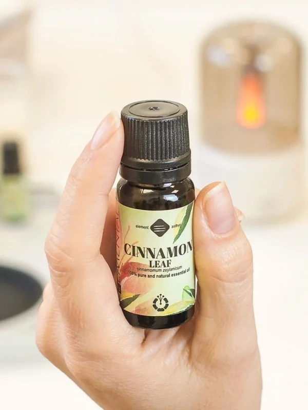 Škoricový esenciálny olej | Cinnamomum zeylanicum - listy 3