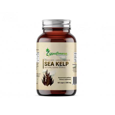 Kelp, prírodný jód s vitamínom C, 60 kapsúl