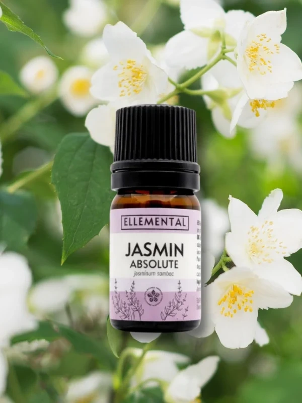 Jazmín absolute 2 ml | Jasminum sambac 1