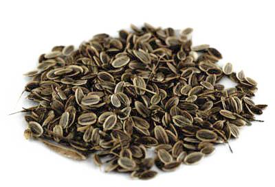 Kôpor semená BIO  100 / 500 / 1000 g