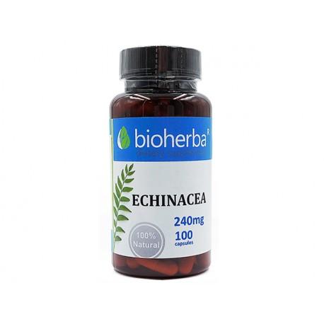 Echinacea, podpora imunity, Bioherba, 100 kapsúl