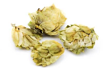 Chmeľové šištice (Humulus Lupulus), sušené, celé 50 / 500 g