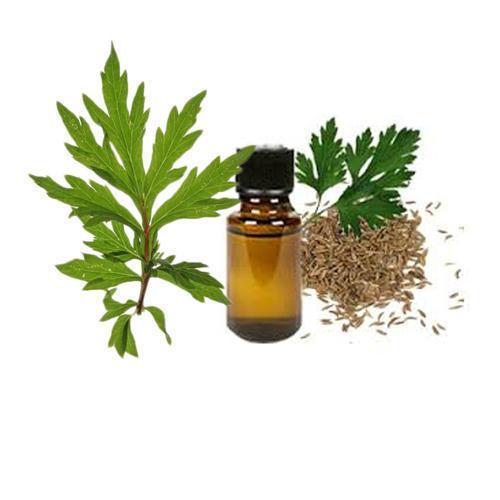 Davana / Artemisia pallens esenciálny olej