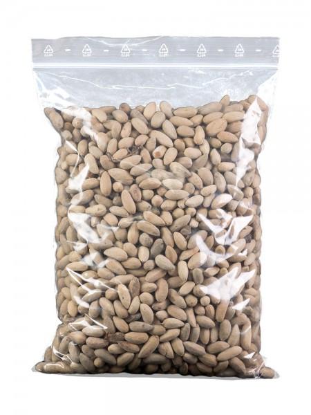 Neem semená celé / mleté  100 / 500 / 1000 g