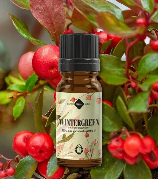Gaultéria, Wintergreen esenciálny olej 1