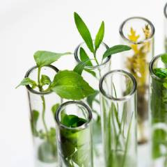 CapilMax® NG – hustota, objem a posilnenie vlasov 10 g 2