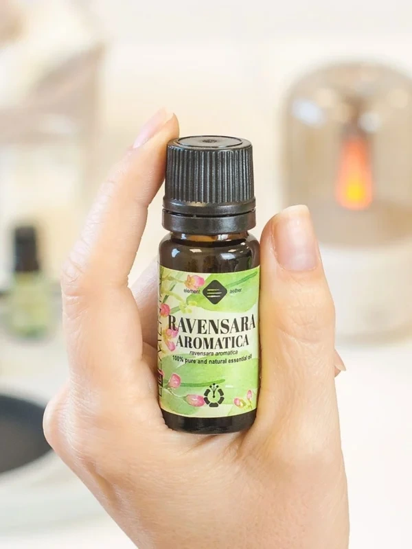 Ravensara aromatica esenciálny olej 3