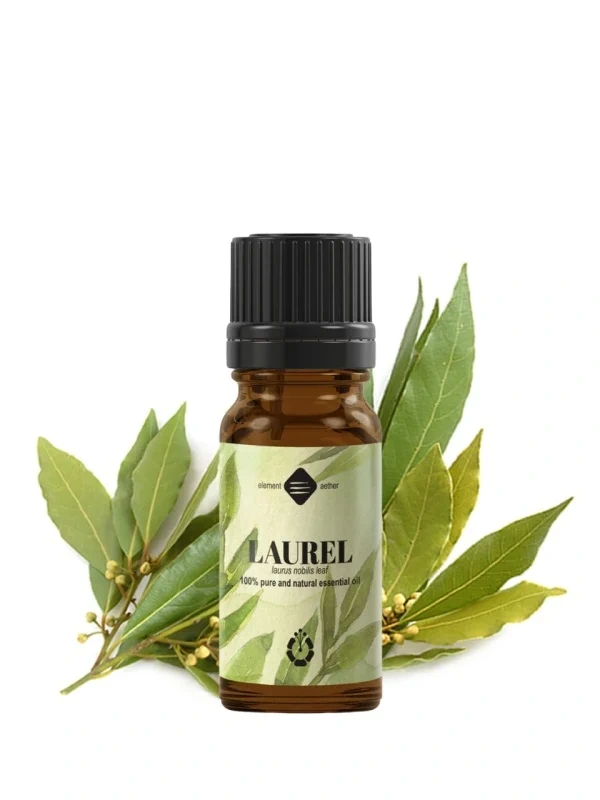 Bobkový list esenciálny olej - Vavrín pravý 10 ml | Laurus nobilis 3
