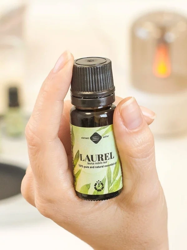 Bobkový list esenciálny olej - Vavrín pravý 10 ml | Laurus nobilis 1
