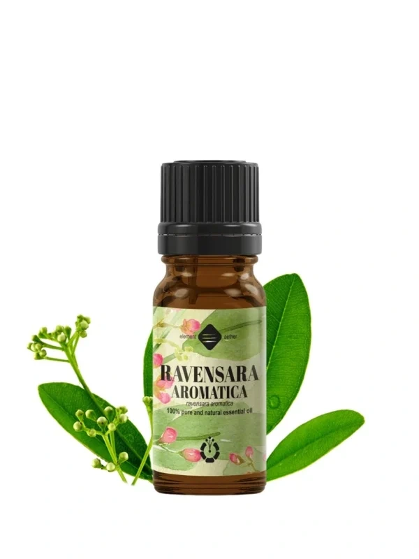 Ravensara aromatica esenciálny olej 1
