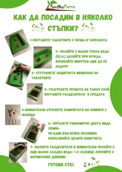 Microgreens sada - brokolica a reďkovka, Serdika Farms, 1 ks