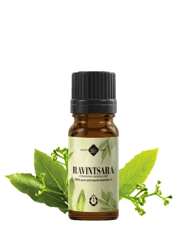 Gáfrový esenciálny olej, Ravintsara 1