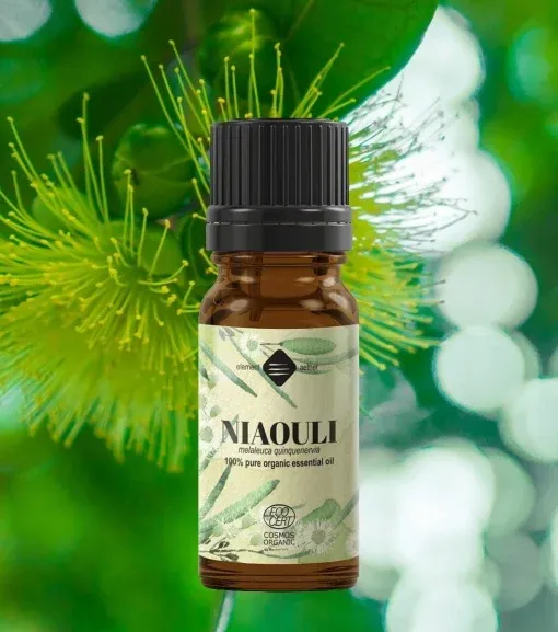 Niaouli esenciálny olej, melaleuca viridiflora 1