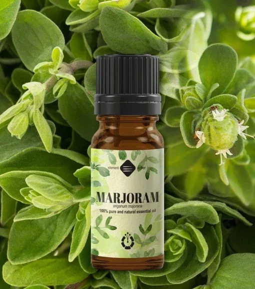 Majorán esenciálny olej 10 ml 1