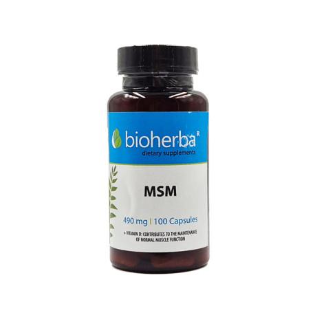 MSM (metylsulfonylmetán), zdravie kĺbov, 490 mg, 100 kapsúl