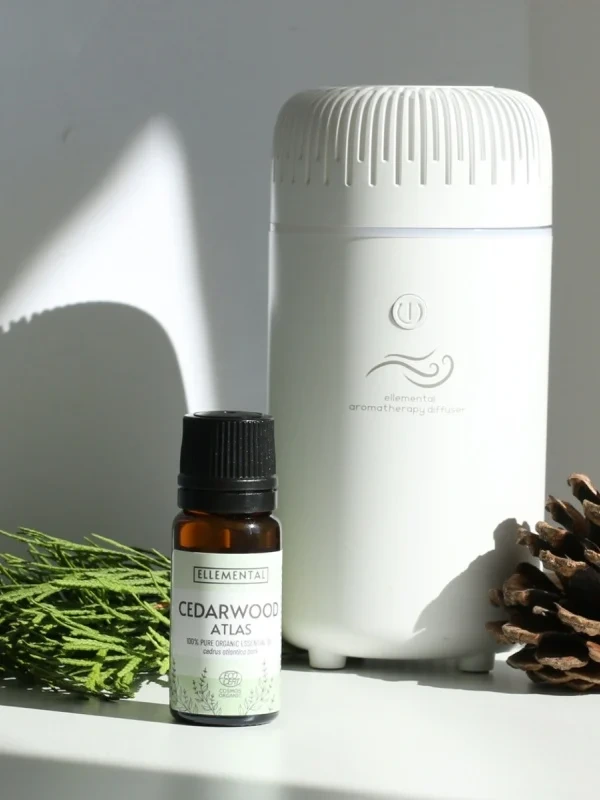 Atlas céder esenciálny olej | Cedrus atlantica BIO 10 ml / 90 g 1