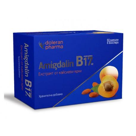 Amygdalín (vitamín B17), extrakt z marhuľových jadier, 60 kapsúl