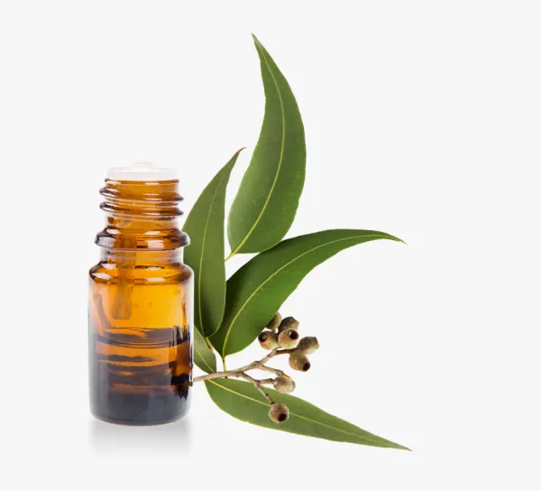 Eukalyptus citriodora esenciálny olej