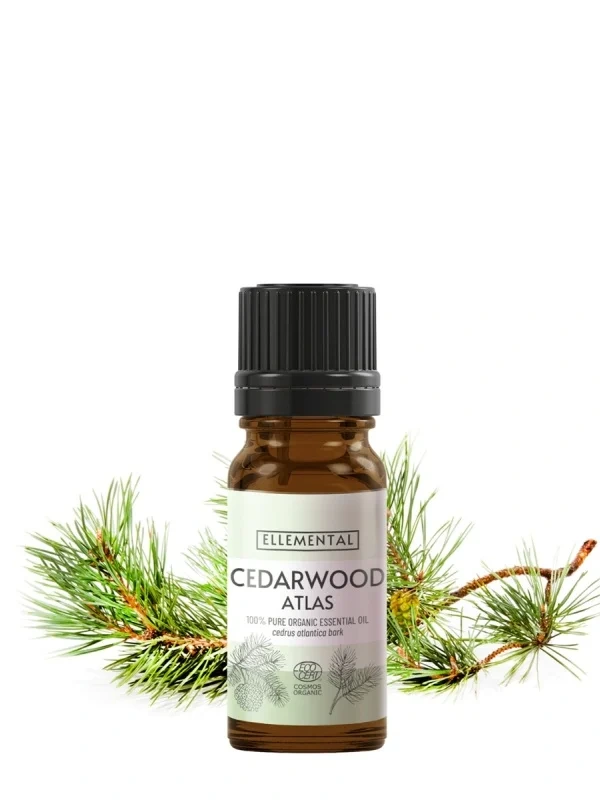 Atlas céder esenciálny olej | Cedrus atlantica BIO 10 ml / 90 g