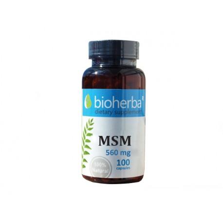 MSM (metylsulfonylmetán), zdravie kĺbov, 560 mg, 100 kapsúl