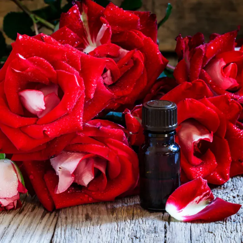 Ruža parfumový olej 30 ml