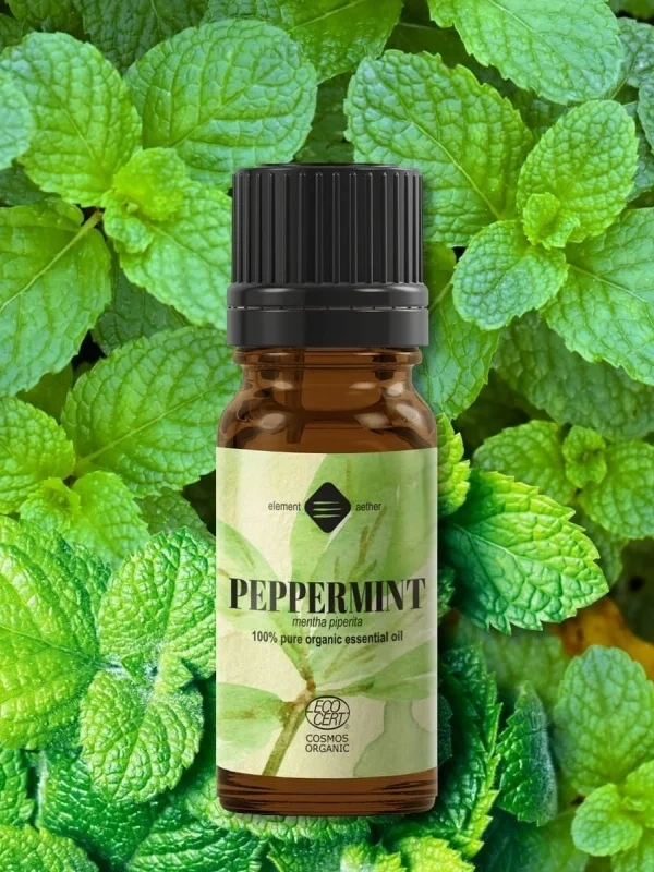 Mäta pieporná esenciálny olej BIO 4