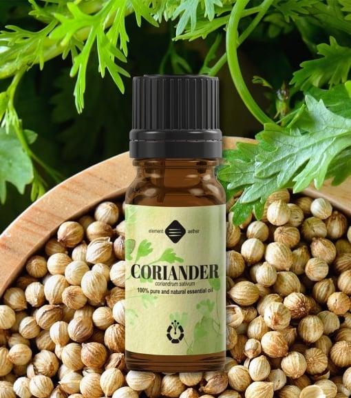 Koriander esenciálny olej 10 ml 1