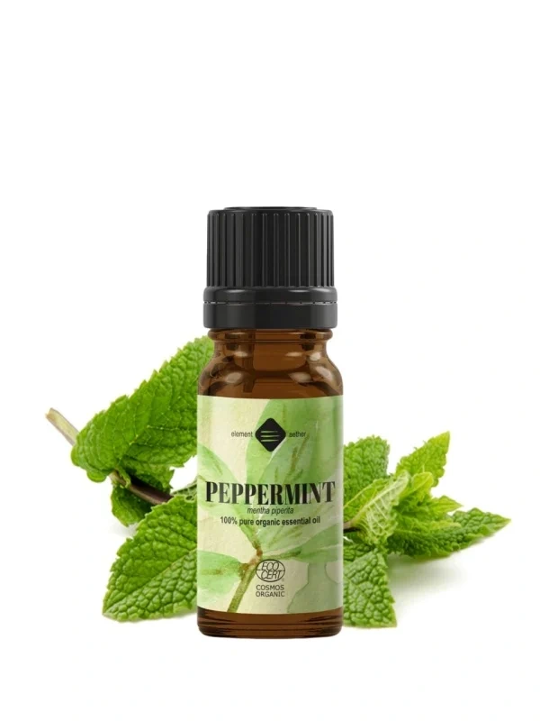 Mäta pieporná esenciálny olej BIO