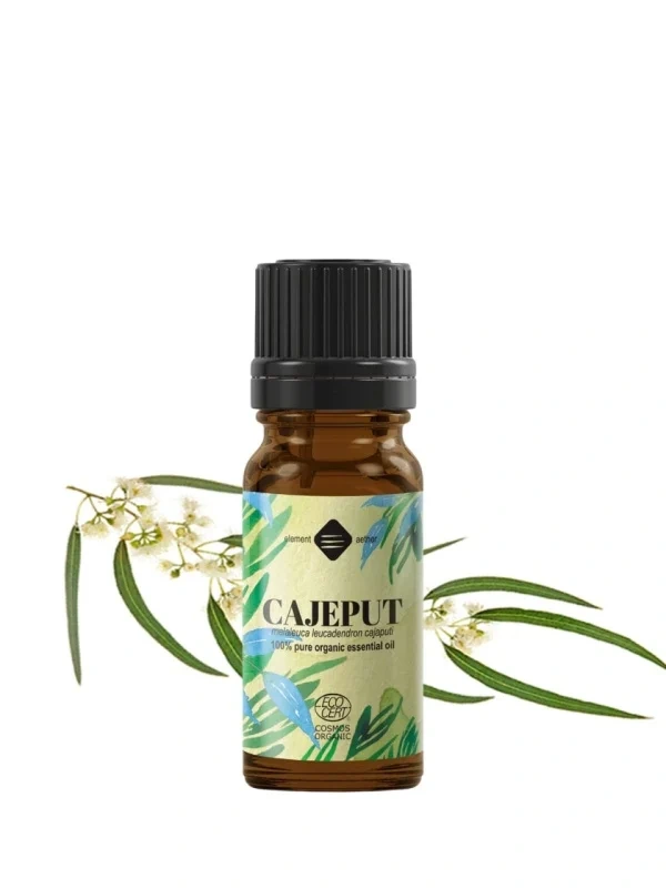 Cajeputový esenciálny olej BIO | Kajeput | 10 ml / 90 g 1