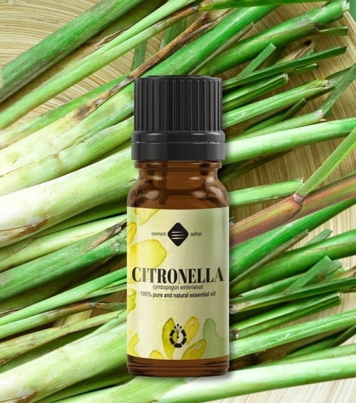 Citronella esenciálny olej 10 ml 1