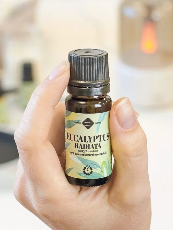 Eukalyptus radiata esenciálny olej | Eukalyptus úzkolistý 4