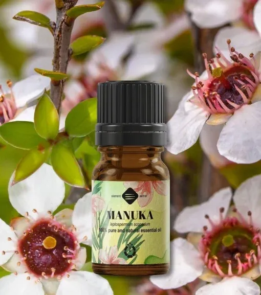 Manuka esenciálny olej 5 ml 1